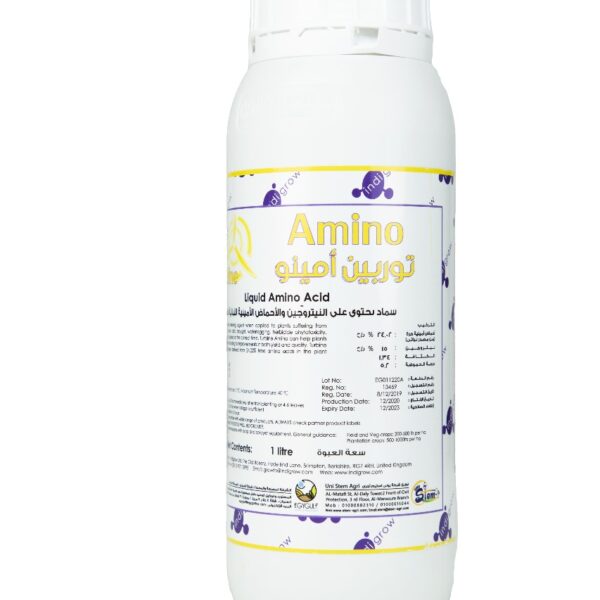 Turbine Amino