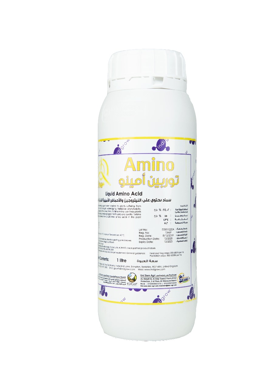 Turbine Amino