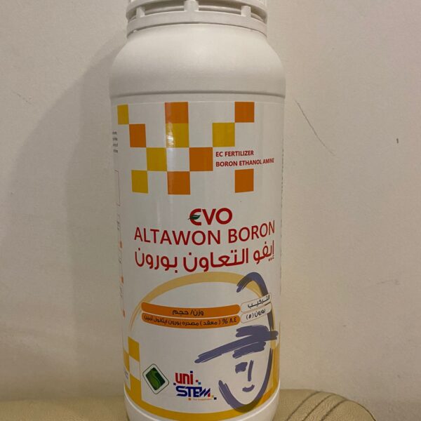 ايفو بورون