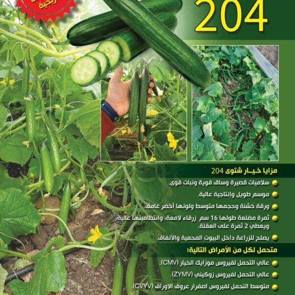 خيار الوليد 204