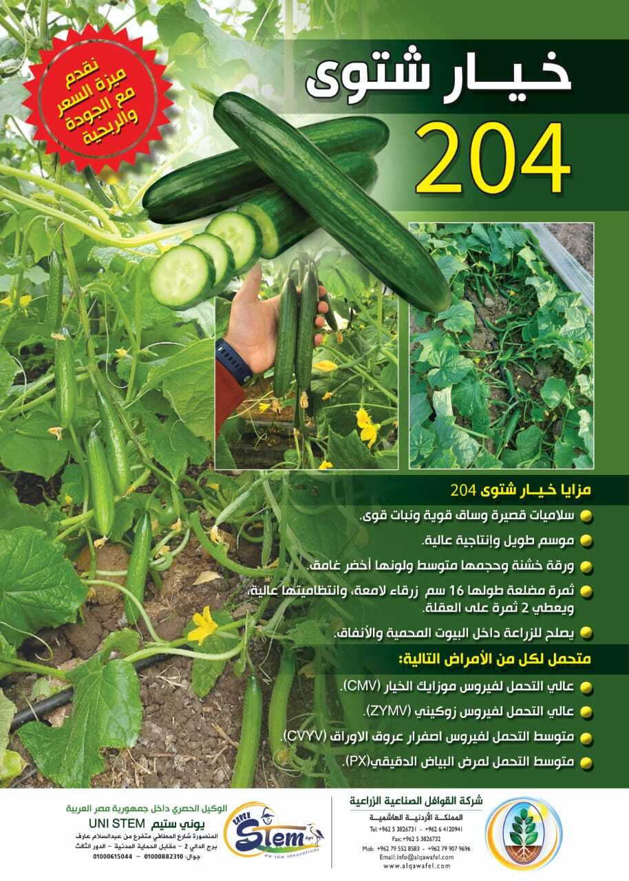 خيار الوليد 204