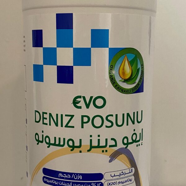 ايفو دينز بوسونو